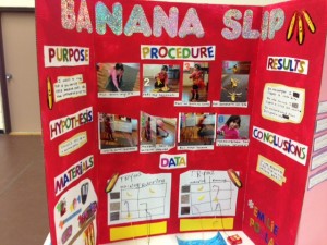 This Grade 1 student's Banana Slip project got the Best in Fair Certificate. Imagine sliding on a banana skin for the sake of scientific investigation!